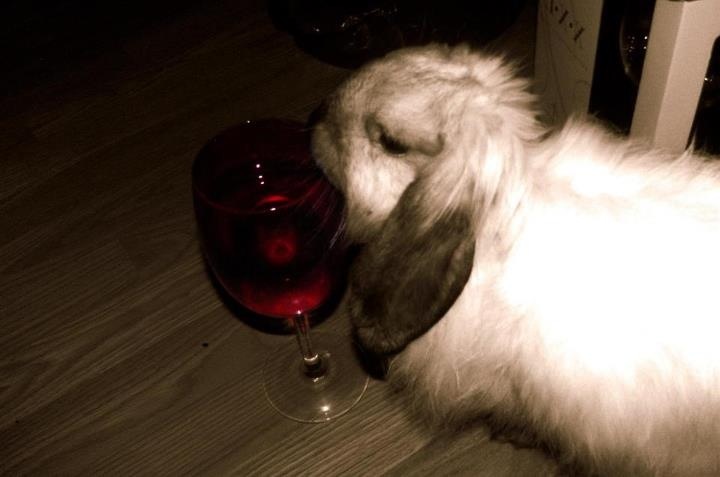 Lenni is a wino like his momma